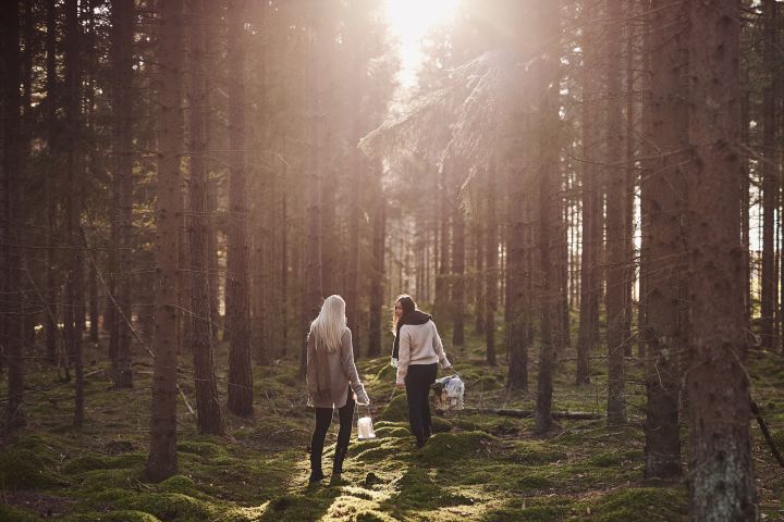 Scandinavian lifestyle things to try this winter - foraging in the woods for mushrooms and fruit. 