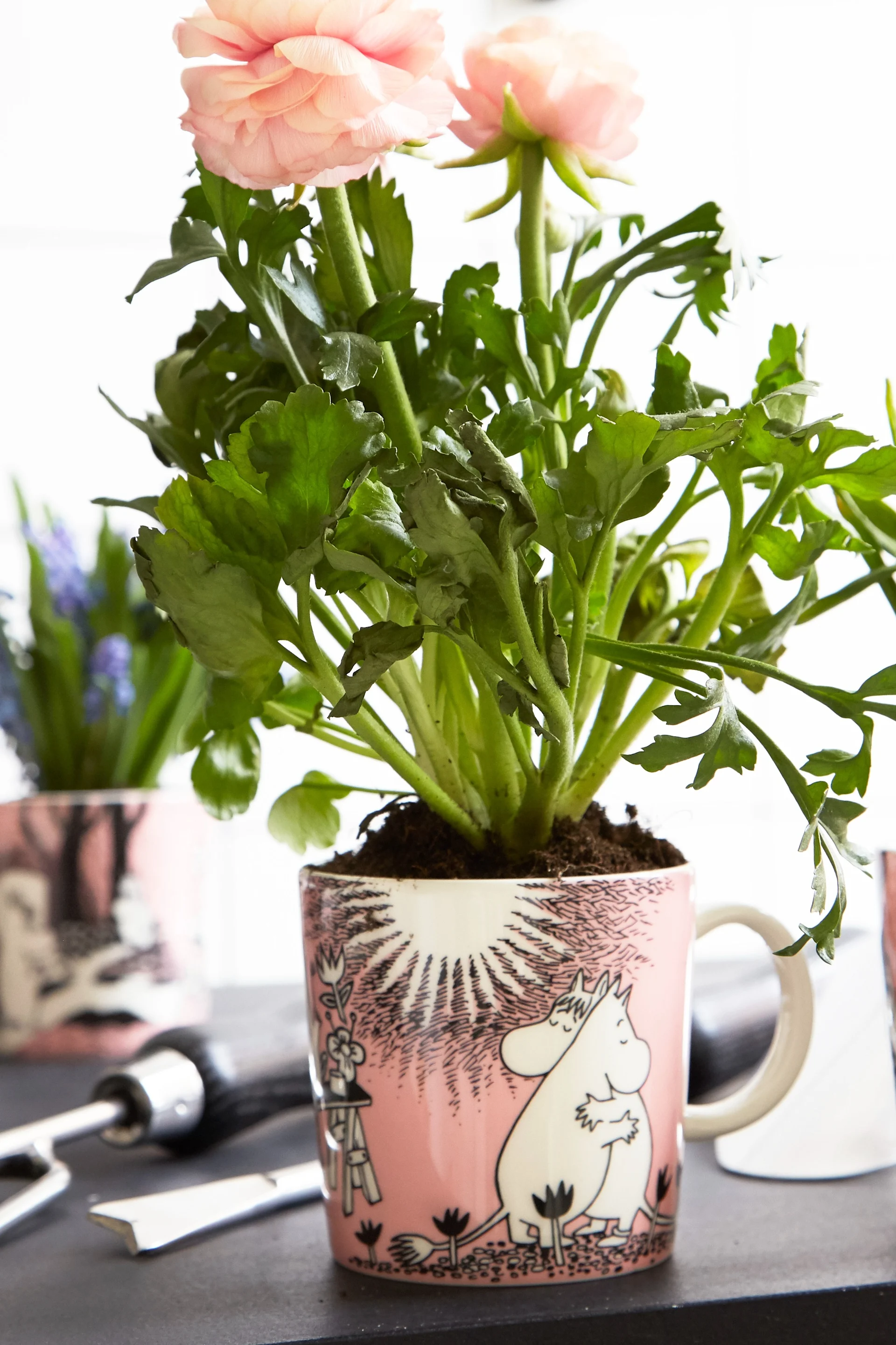 A bouquet of roses was planted in the Moomin cup ‘Love’.
