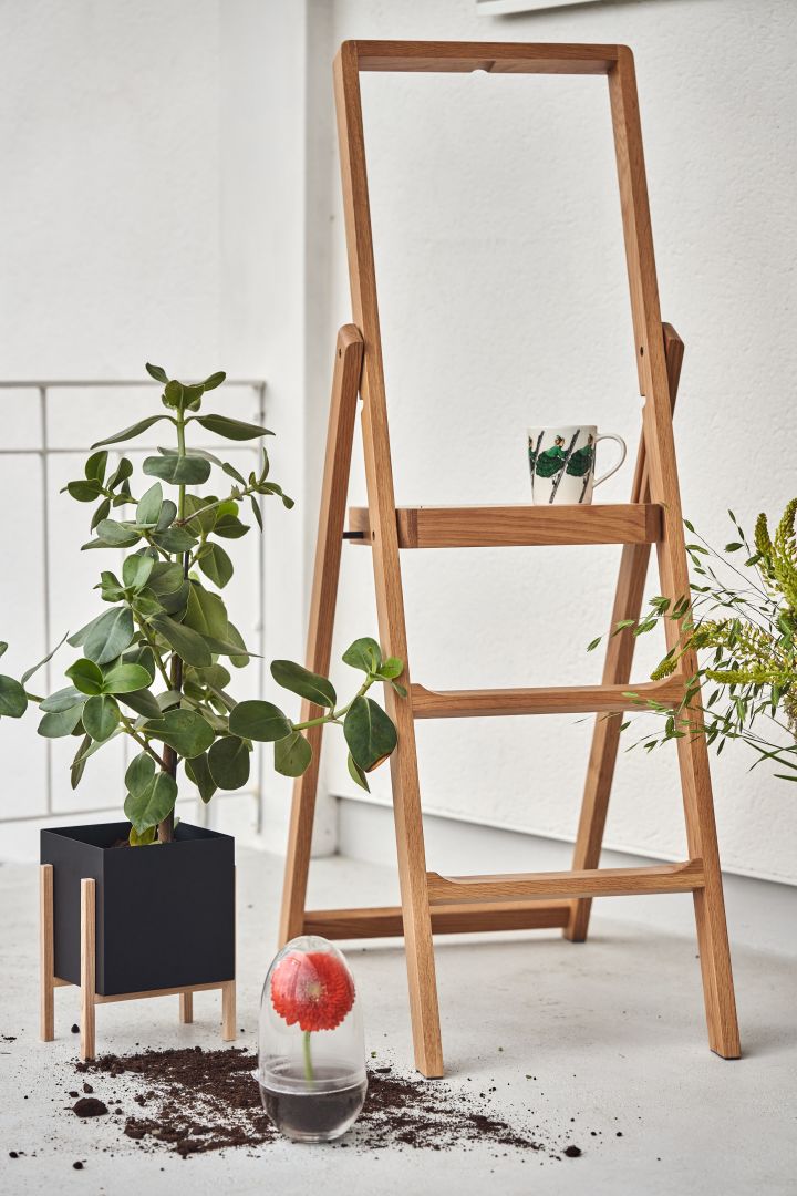 Step – ladder in oak from Design House Stockholm on a staircase with a black planter next to it, a Grow terrariums with a flower in it and a green Elsa Beskow mug.