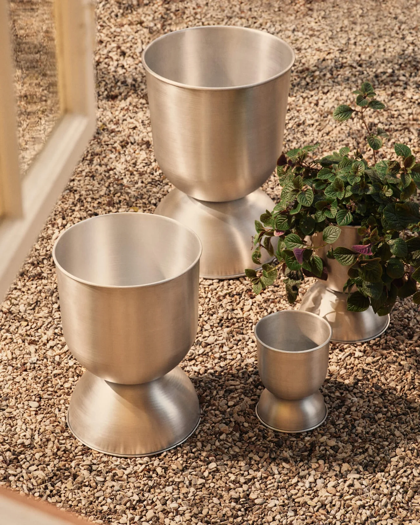 Three brushed metal planters of varying sizes with hourglass bases on gravel, one holding a green plant.