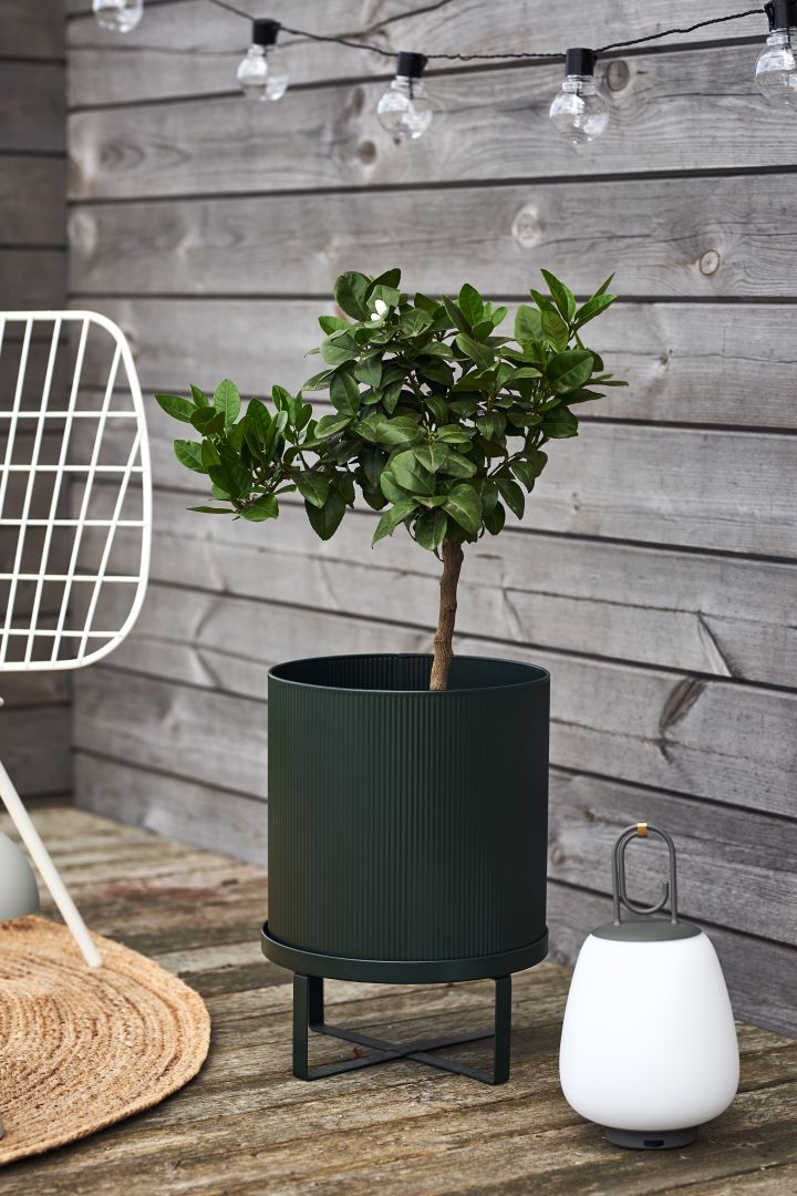 Cosy patio decor ideas - Create a cosy patio by decorating it with plants and greenery. Here you see a firm LIVING stylish Bau outdoor pot with an olive tree. 