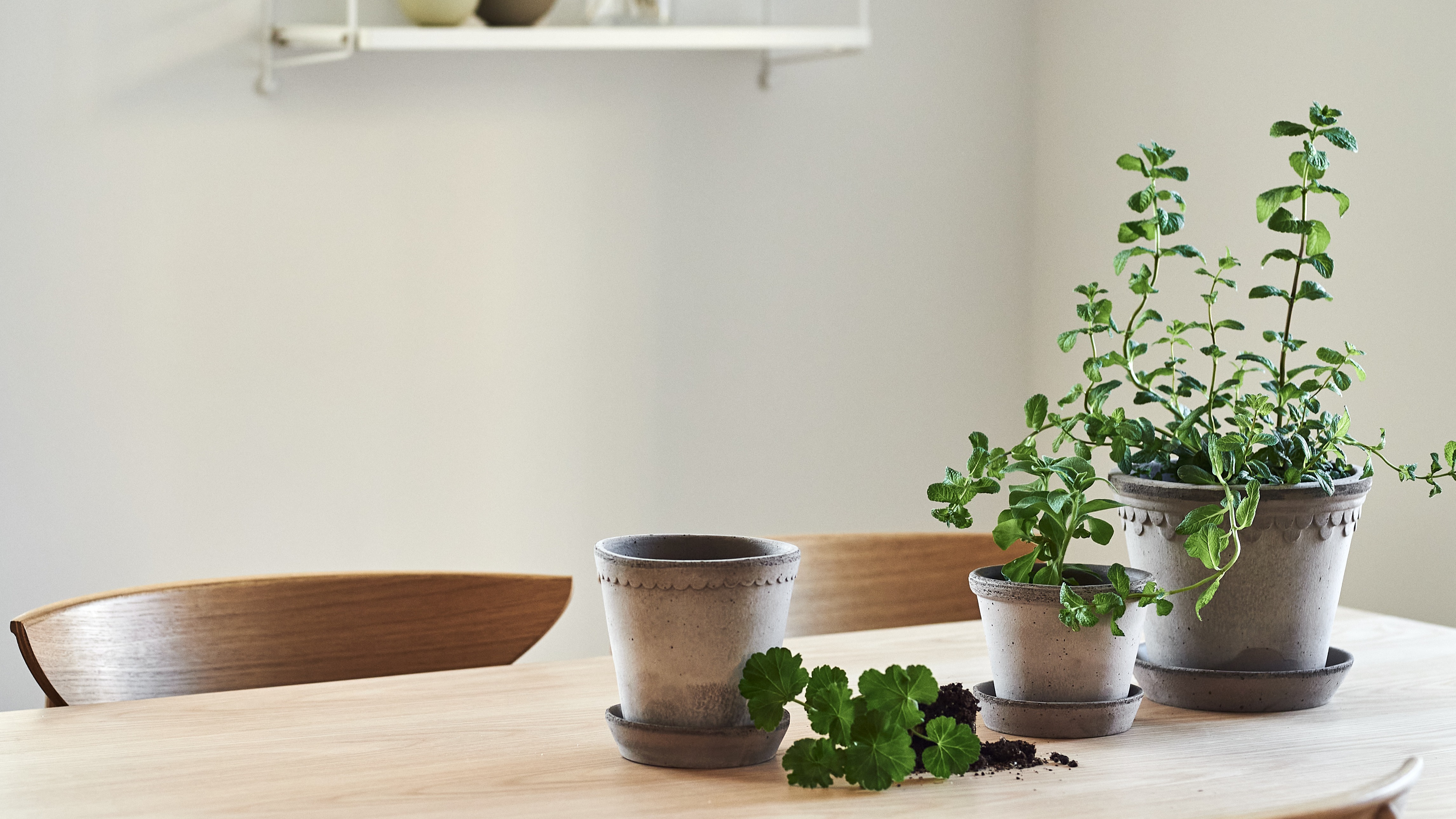 8.6 Inch Self Watering Red Plant Planter Plastic Flower Pots with Drainage for All House Plants Flowers DecoPots Pot for Plants Diameter 8.6, White - Black Indoor Flower Pot 