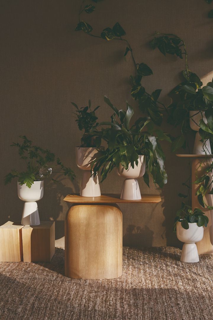 Interior design trends 2021 - plenty of greenery! Here in the Iittala pots Nappula. 