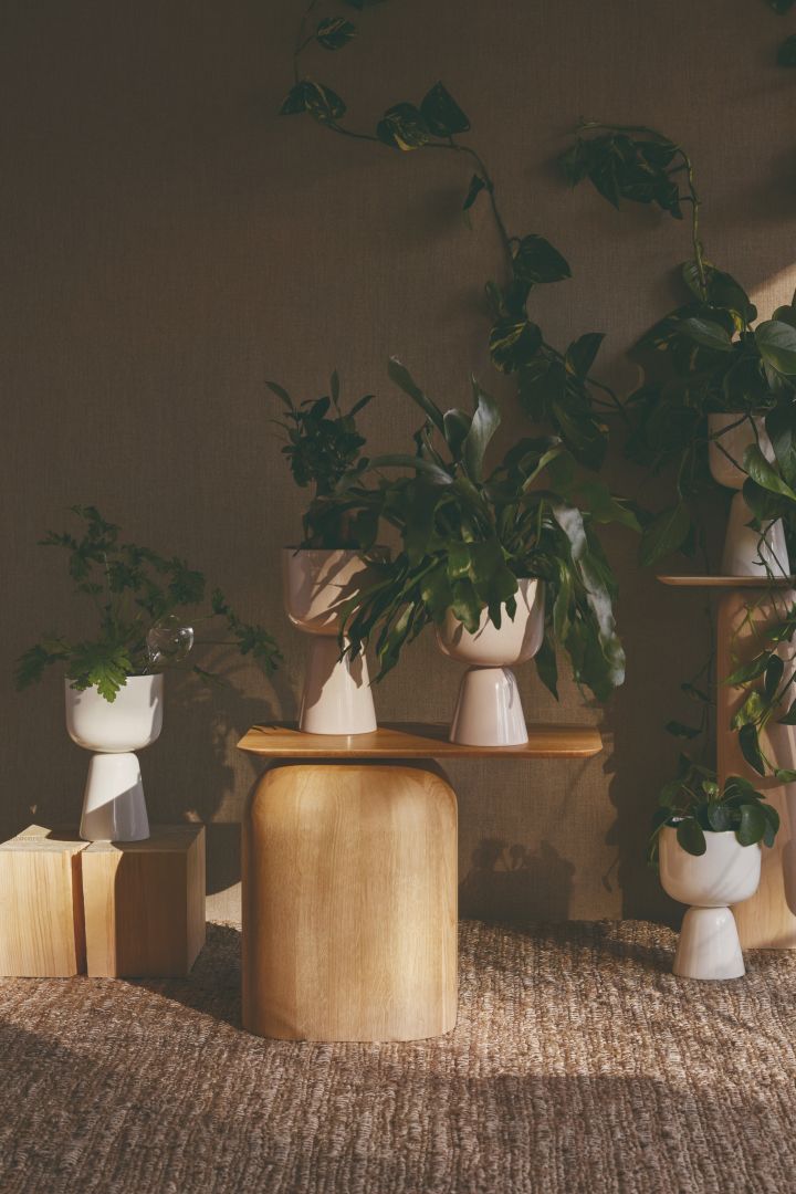 Interior design trends 2021 - plenty of greenery! Here in the Iittala pots Nappula. 
