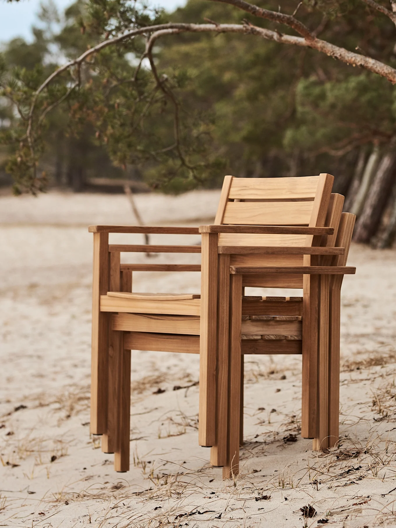 Three wooden outdoor chairs stacked on a sandy beach with trees in the background.