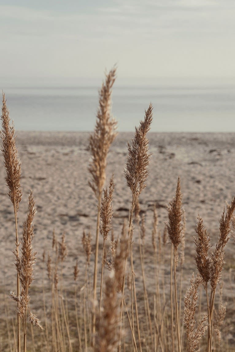 Beach at sunrise.