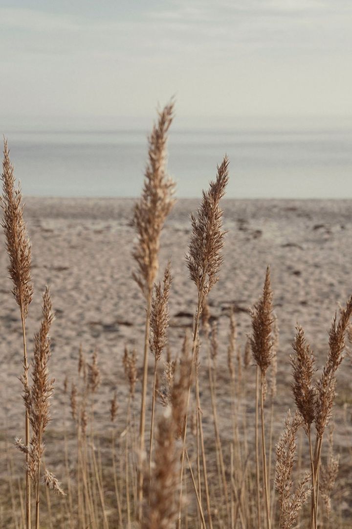 Beach at sunrise.