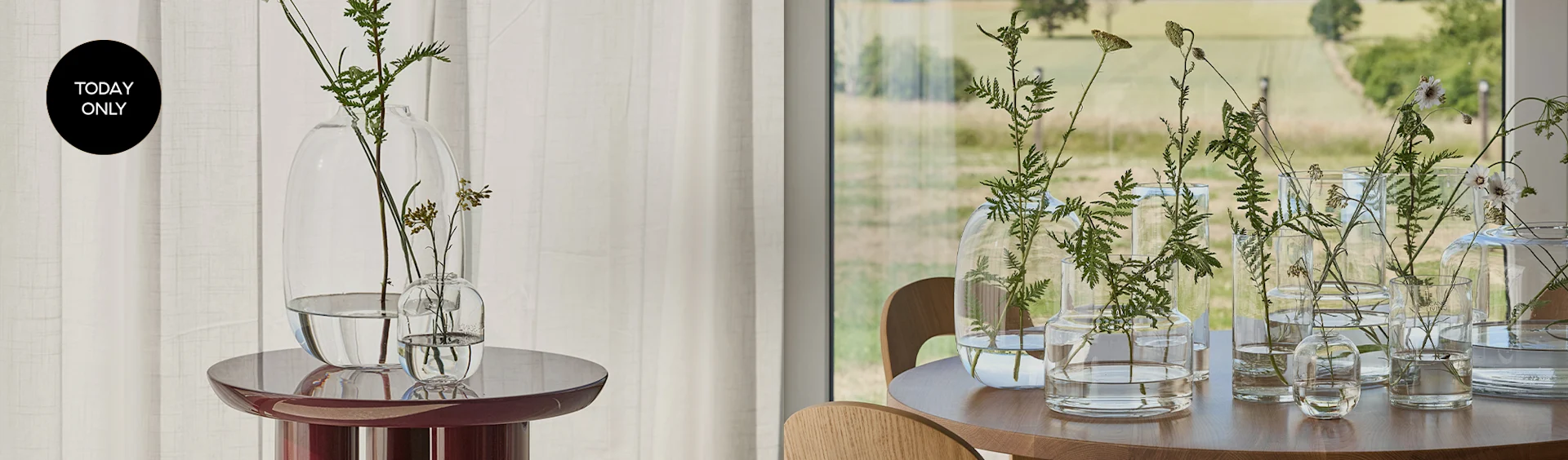 Clear glass vases with green plants on a maroon table and a wooden table, with a 'Today Only' tag.