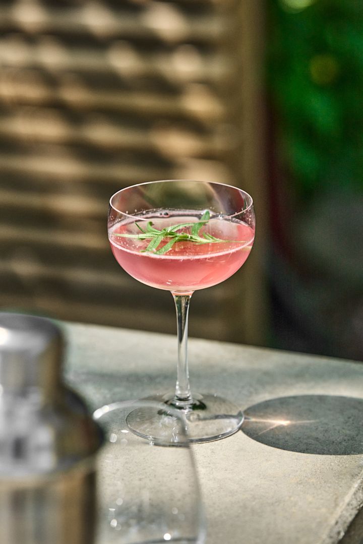 Discover simple summer cocktail recipes like the rhubarb mocktail seen here in a cocktail glass from Orrefors. 