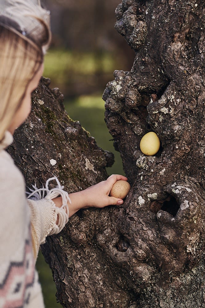 How to organise an egg hunt with clues this Easter  -  hide eggs in different colours and them around the garden before asking children to find them.