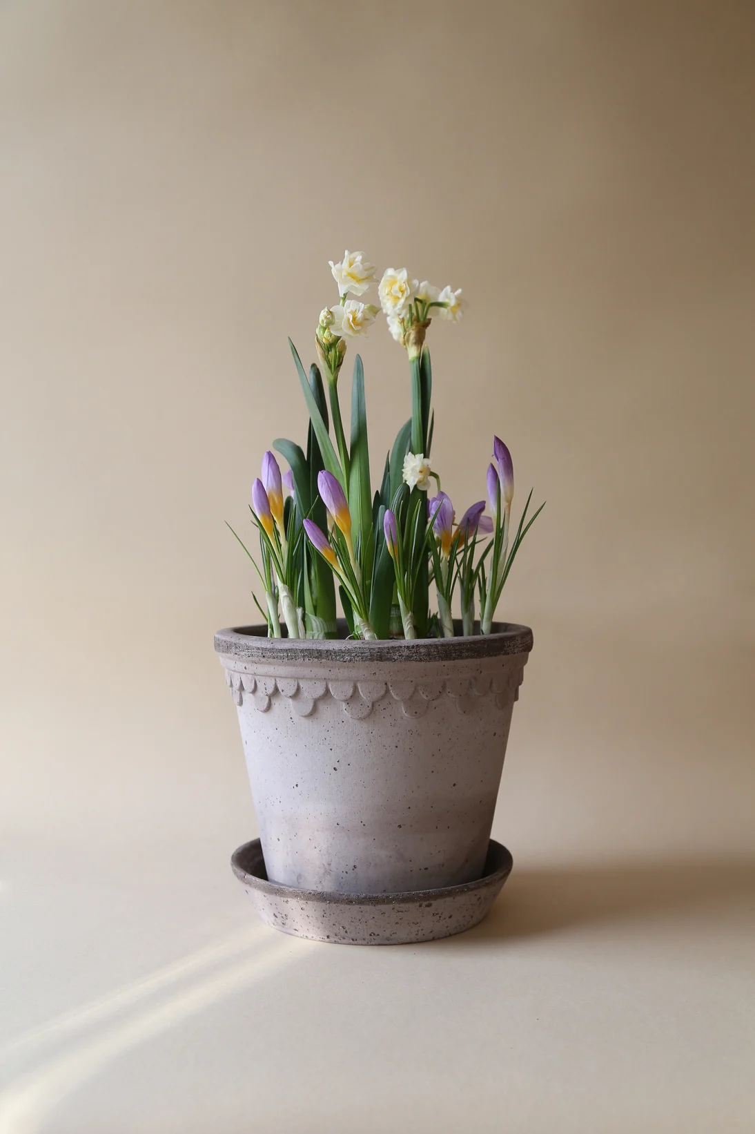 Instead of a bouquet, simply give a plant as a Mother's Day gift, like this lily of the valley in a grey pot from the Copenhagen collection by Bergs Potter.
