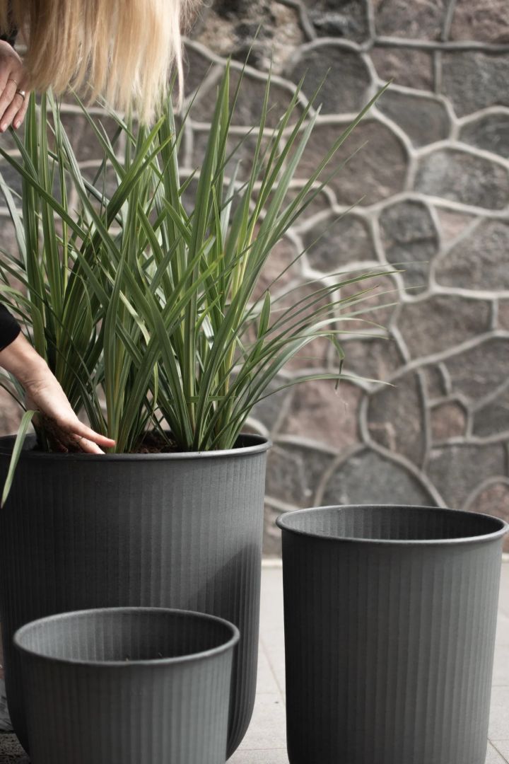 A woman leans over planting a tall grass in a large metal outdoor plant pot - Out from DBKD