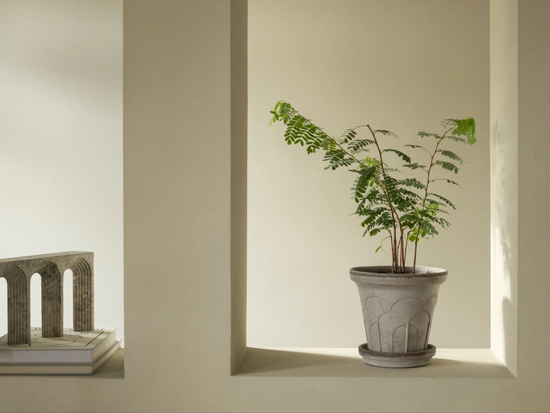 A minimalist interior with a green plant in a patterned grey pot in a wall niche, beside a sculptural arch on books.