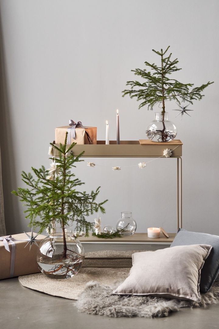 Decorate the Christmas tree with Christmas tree decorations for 2021 in 4 different styles according to Nest Trends - Nurture, Share, Boost and Cultivate. Here you see two mini Christmas trees in transparent vases from Ernst and By On next to Plant Box from Ferm Living in beige.