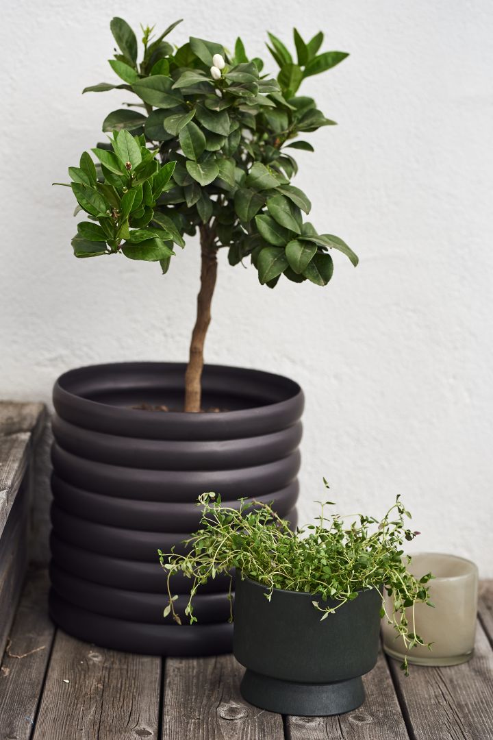 Green plants are essential to bring your Mediterranean decor to life like here with the Ro flower pot from Rosendahl. 