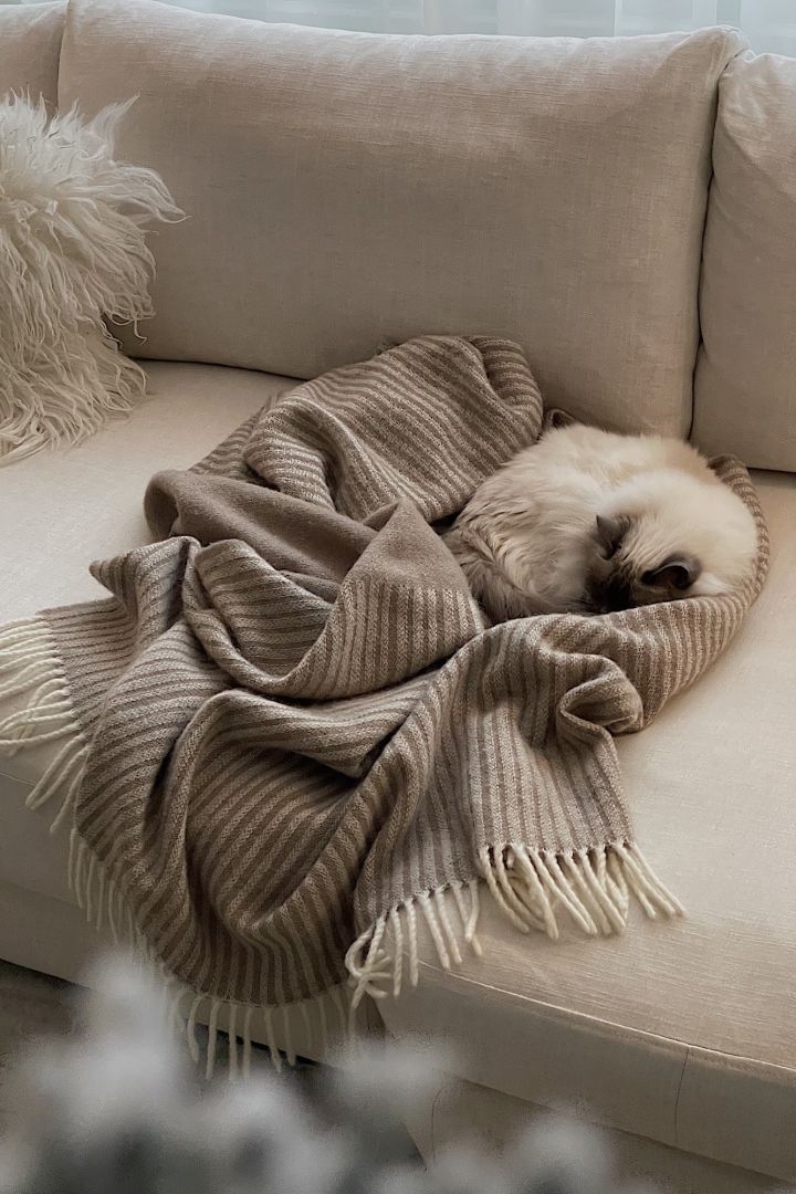 Create a cosy hygge living room for everyone to enjoy including the family cat who sleeps on the NJRD Strips wool throw in beige. 