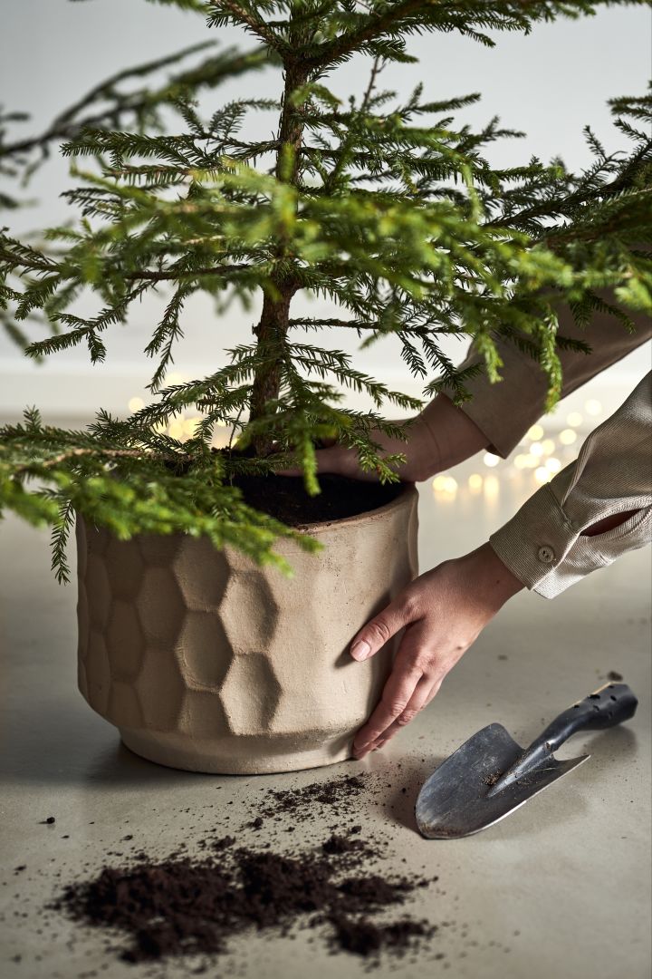 Decorate the Christmas tree with Christmas tree decorations for 2021 in 4 different styles according to Nest Trends - Nurture, Share, Boost and Cultivate. Here you see Kähler Go pot in a rustic beige.