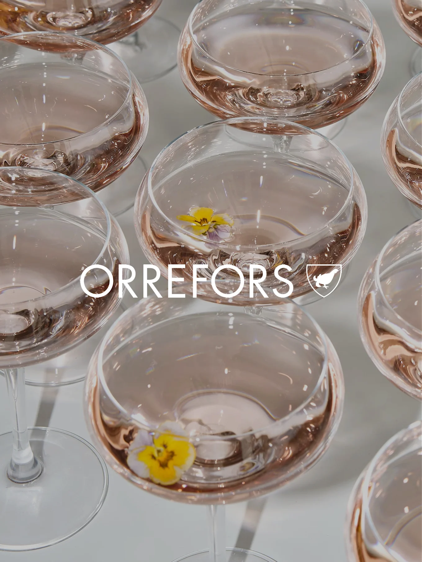 Clear glass goblets with pink liquid and yellow pansies. 'ORREFORS' text and logo overlaid.