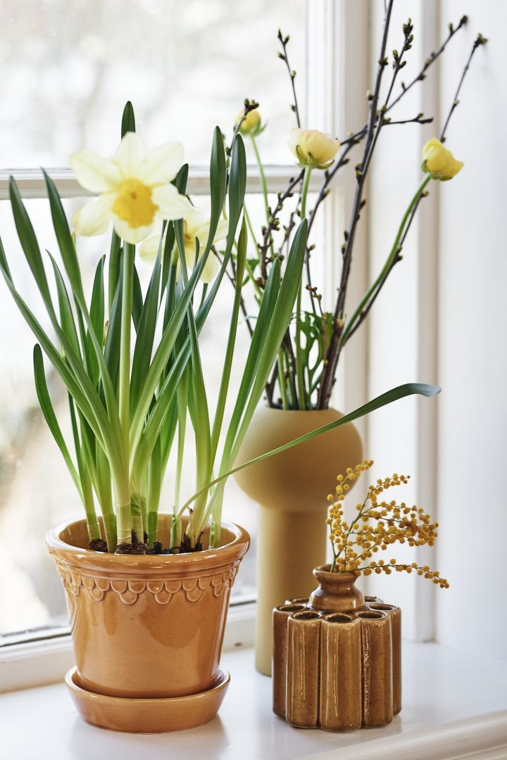 Bergs Potter pot, Pillar vase from Cooee Design and a small pot in ochre with spring flowers are on the windowsill. 