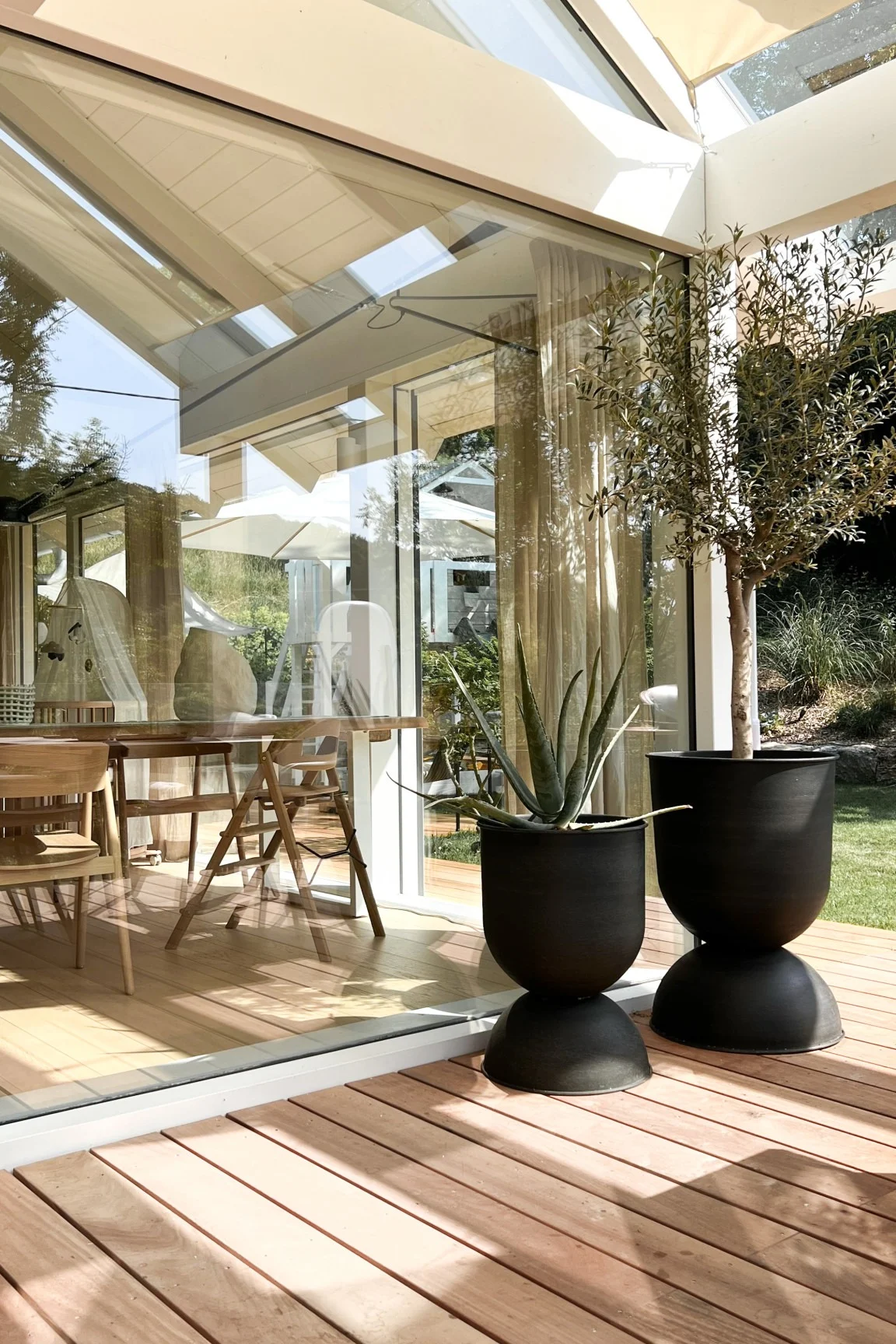 Modern sunroom with glass walls, wooden deck, and two black planters with an aloe vera and an olive tree.