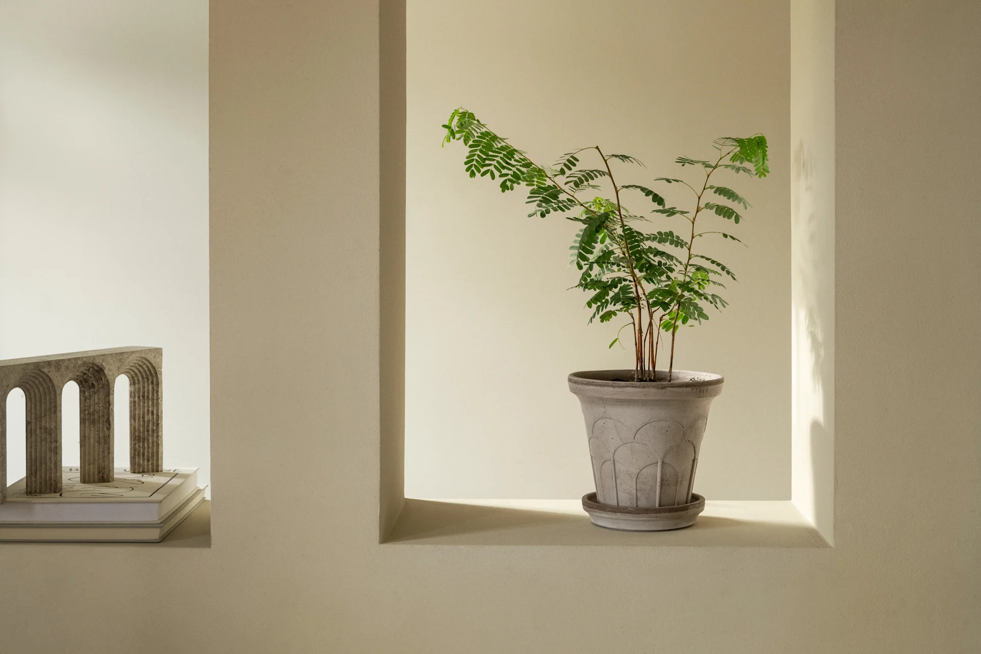 A potted plant with green leaves sits in a recessed wall niche next to a stone arch sculpture on books.