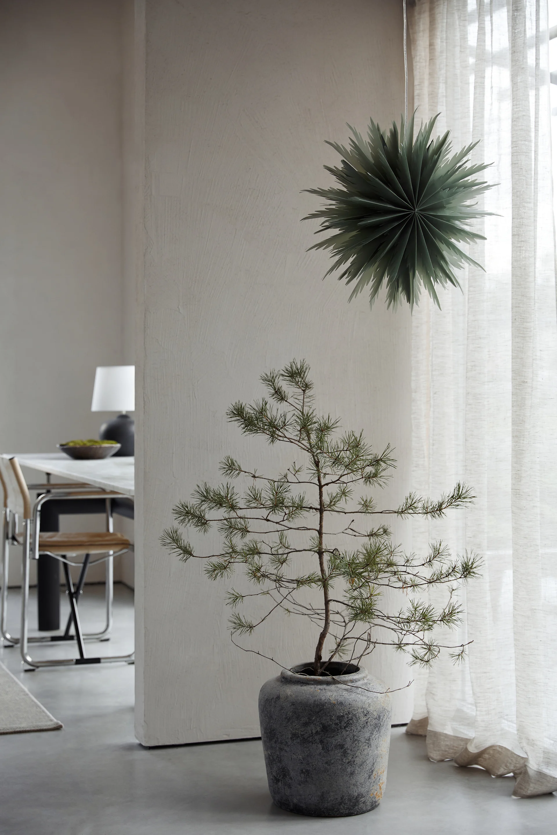 The Liz paper star lantern in green from Watt & Veke hanging in a window over a tall green plant. 