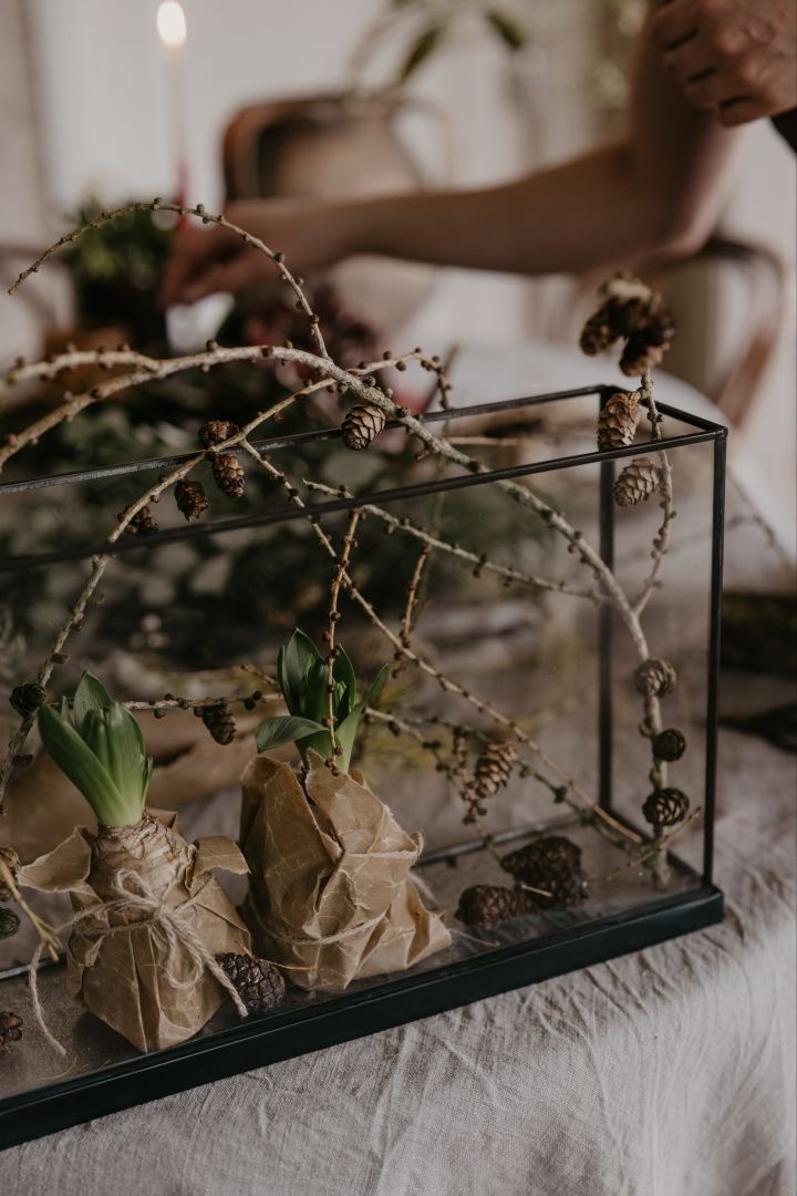 Decorate the House Doctor display box with Christmas items, the perfect DIY Christmas craft. Photo: Johanna Berglund @snickargladjen