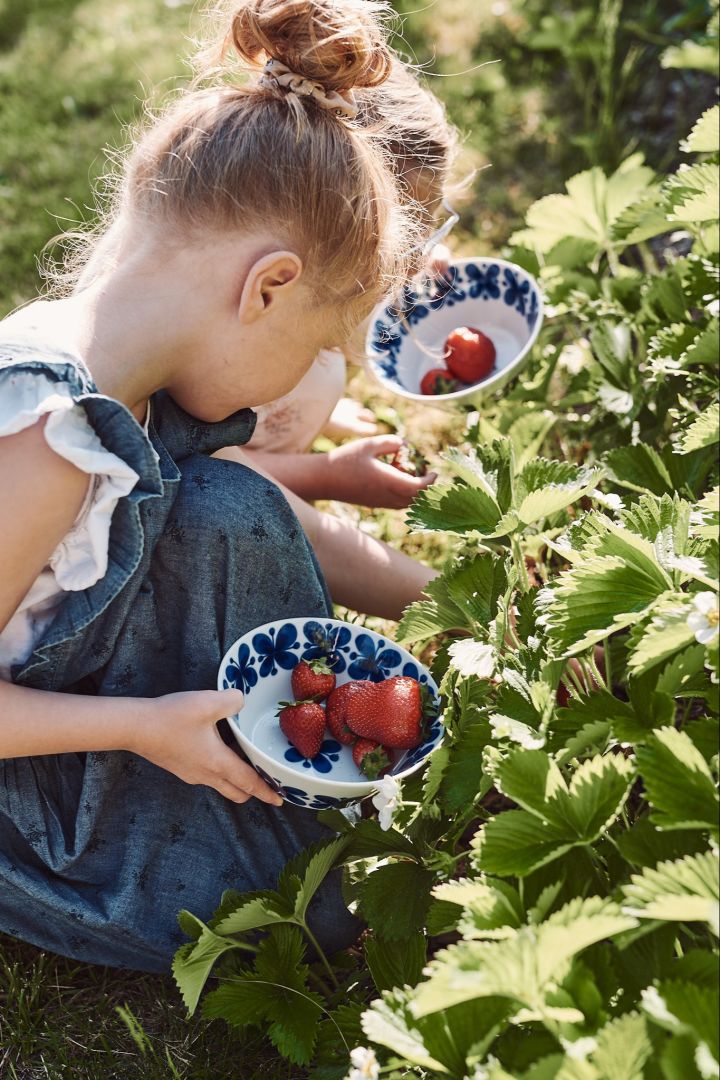 Summer bucket list tip number 14 - Pick berries with the kids.