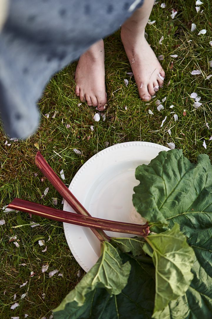 Summer bucket tip number 18: Bake a rhubarb pie!