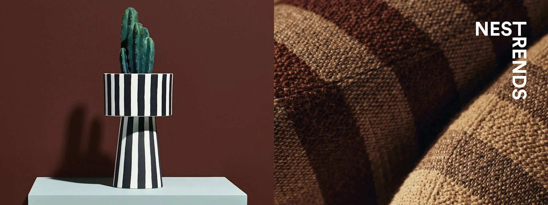 Green cactus in a black and white striped vase on a light blue pedestal, next to a close-up of brown and tan striped woven fabric. Text: NEST TRENDS.