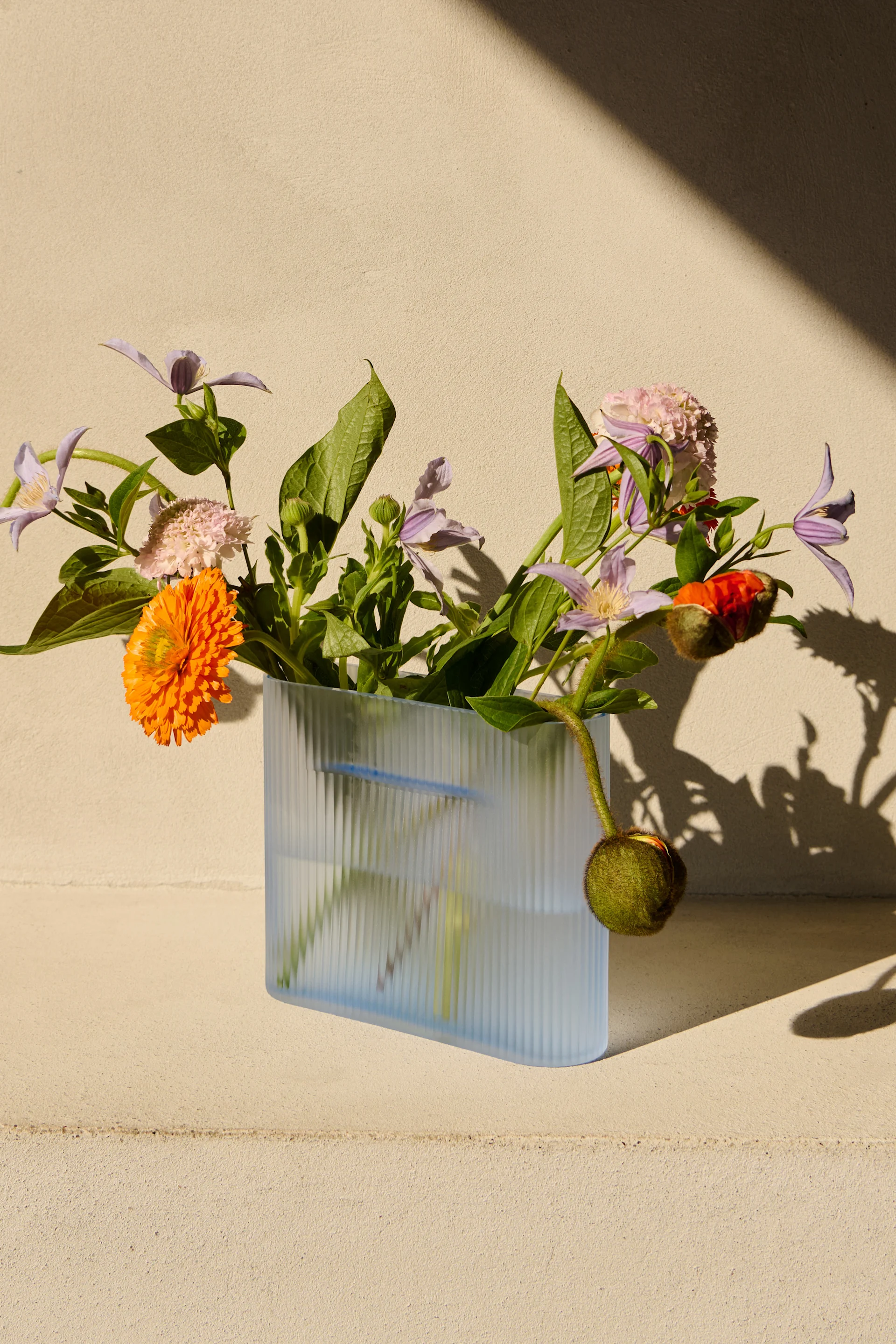 A light blue ribbed vase with an orange flower, purple clematis, pink scabiosa, and a poppy bud. Sunlit beige background.