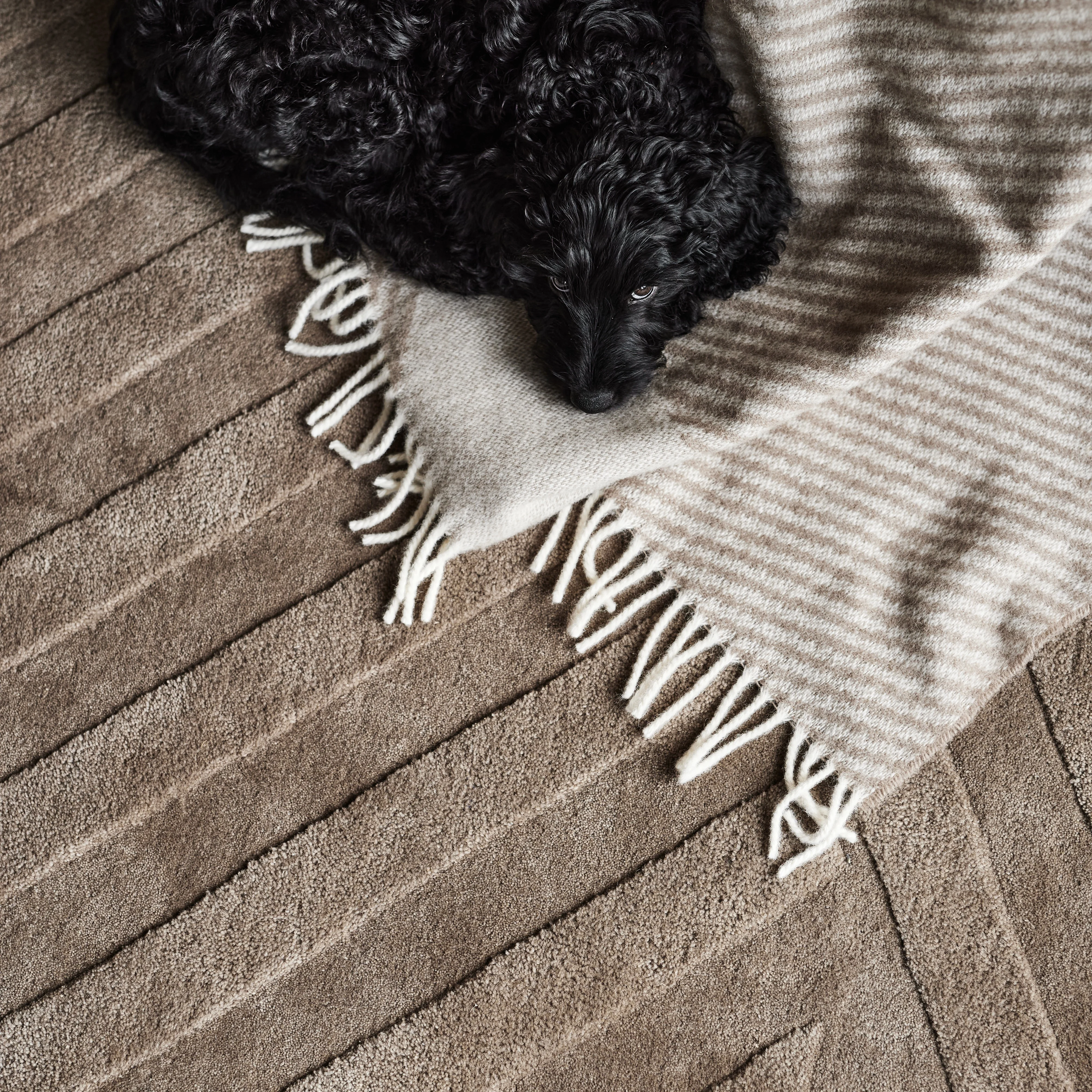 Bias rug 170x240 cm from HAY - NordicNest.com
