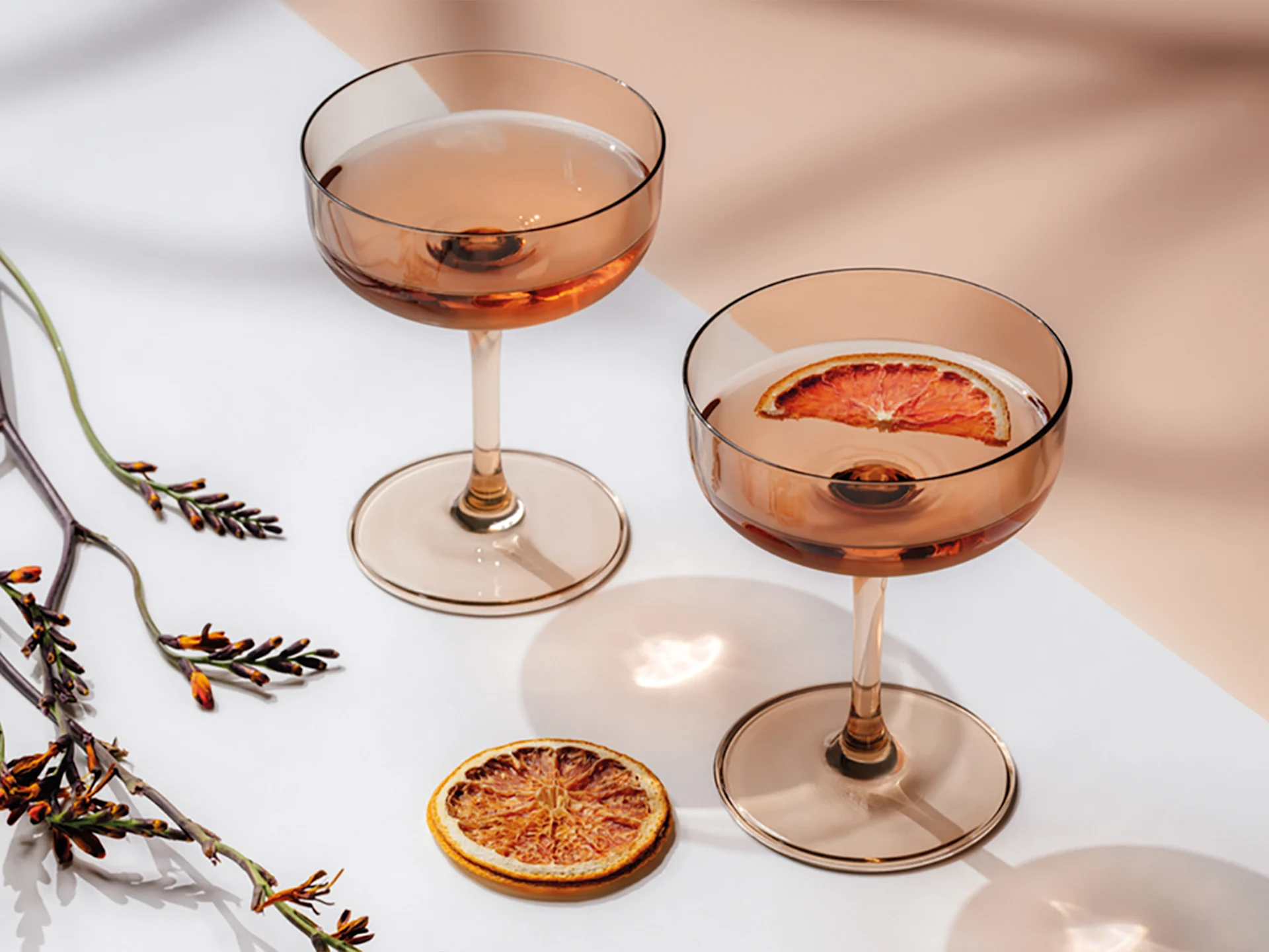 Two drinks in coupe glasses with dried blood orange, surrounded by plant stems on a two-tone surface.