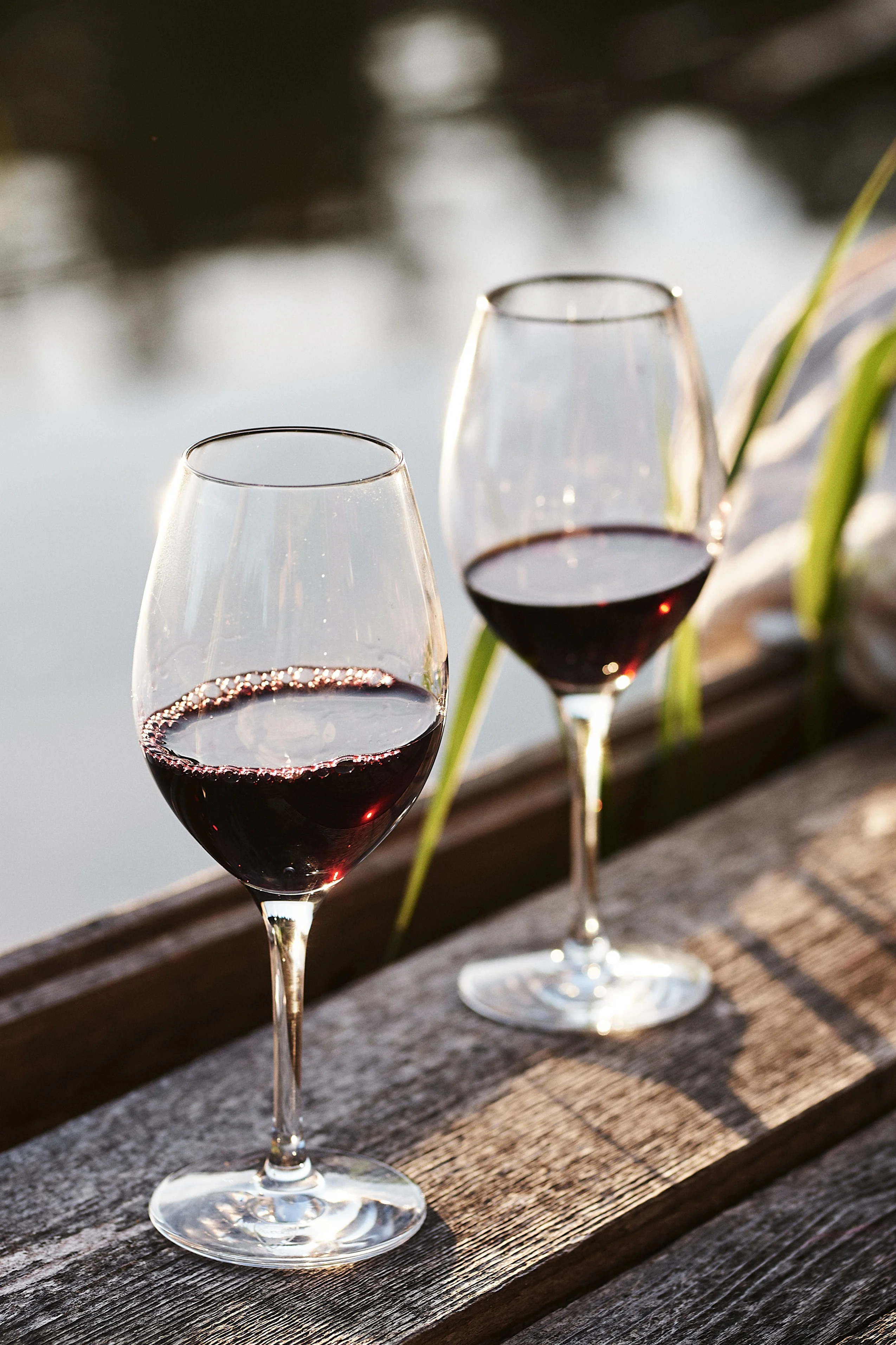 Glass guide part 1  How to choose the right wine glass