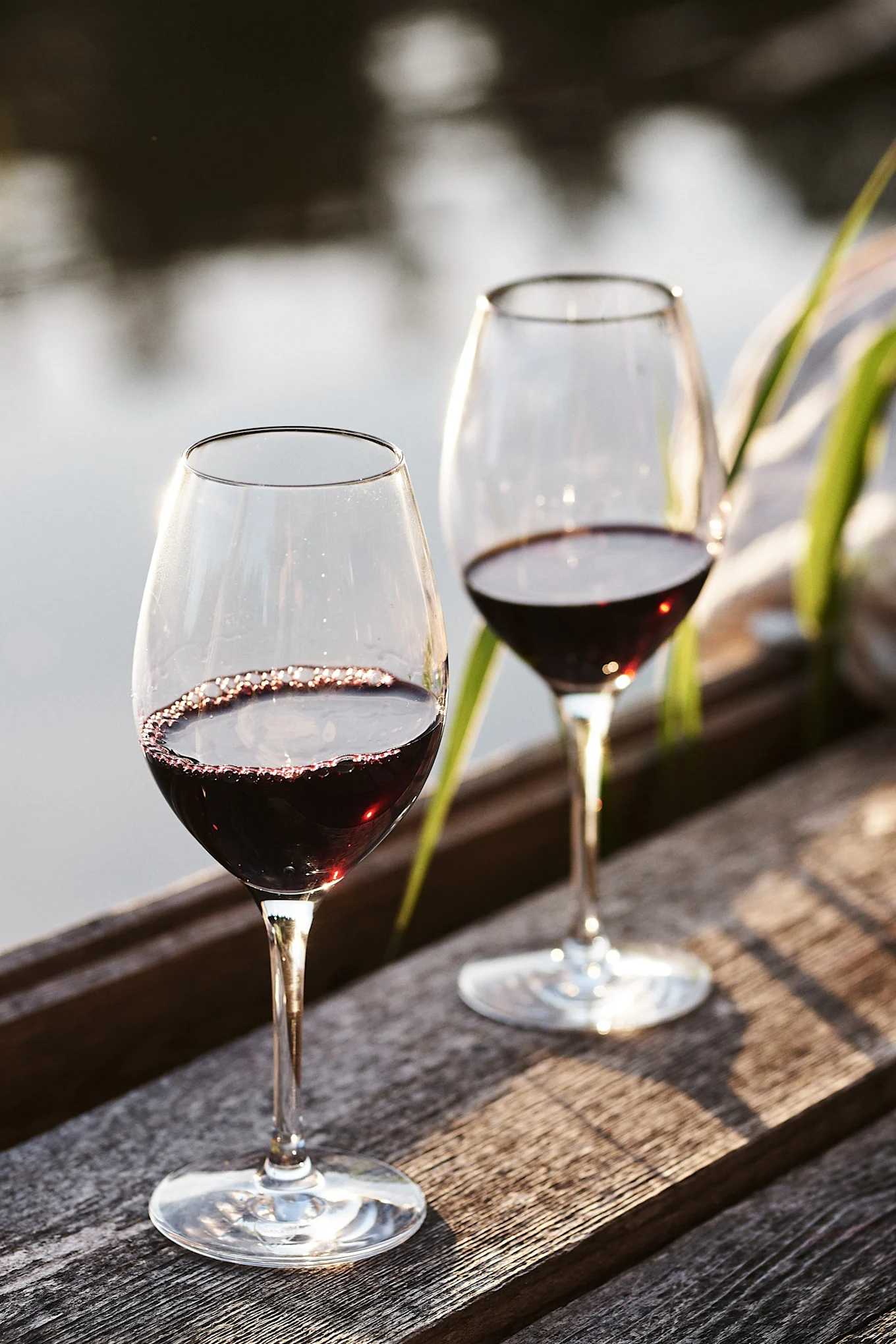 Glass guide part 1  How to choose the right wine glass