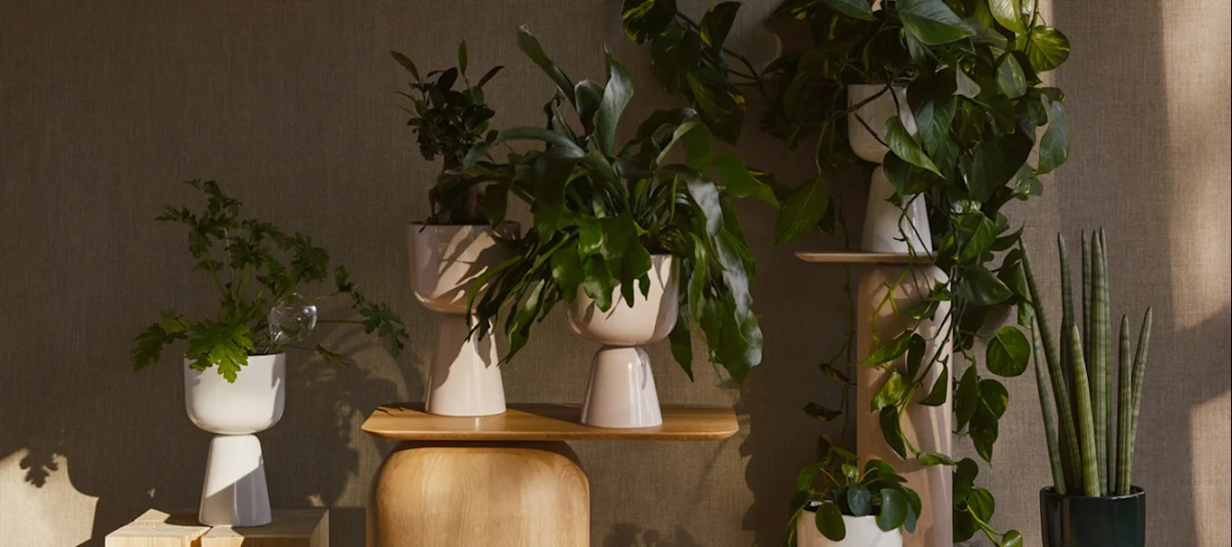 Unique indoor plant pots for your home