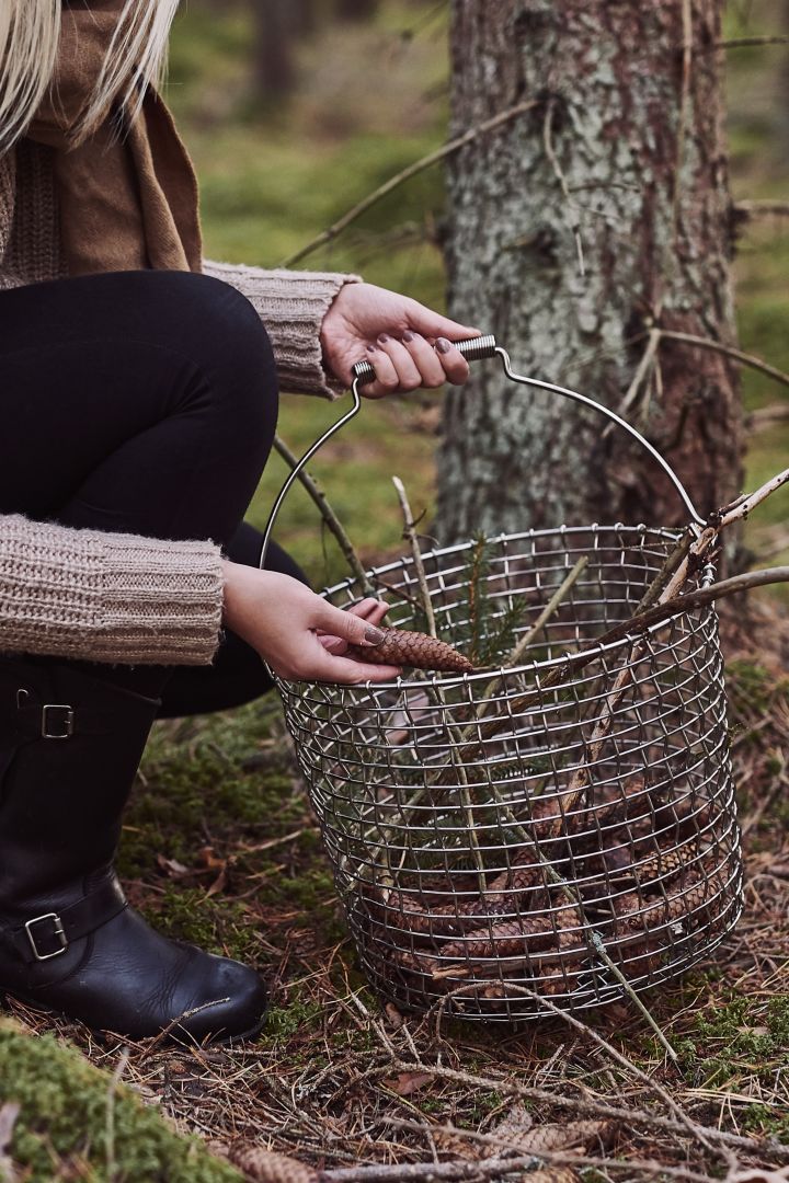 Scandinavian lifestyle things to try this winter - foraging in the woods for mushrooms with a Korbo metal basket. 