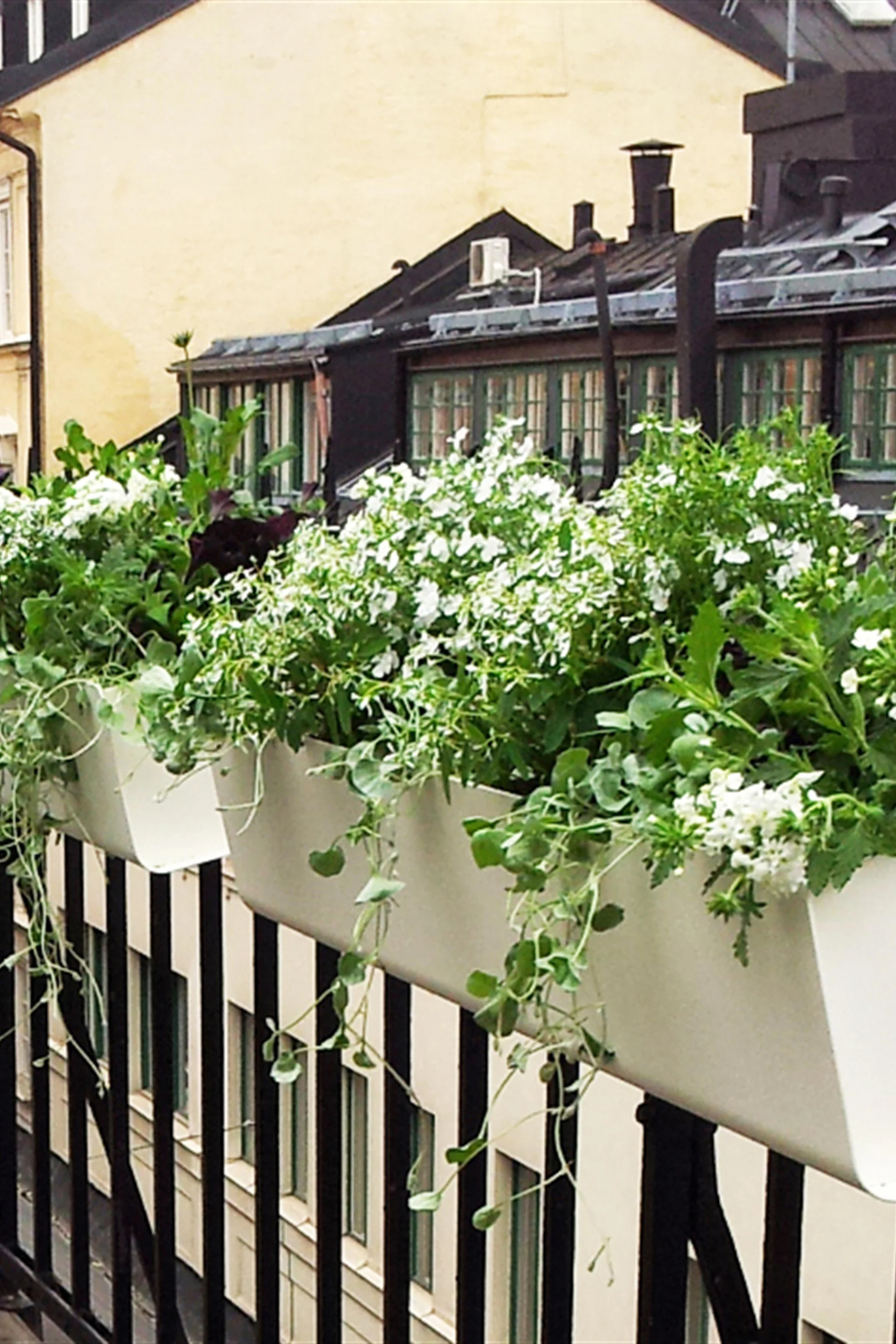 The Jorda flower box from SDM Design hangs from a balcony railing.