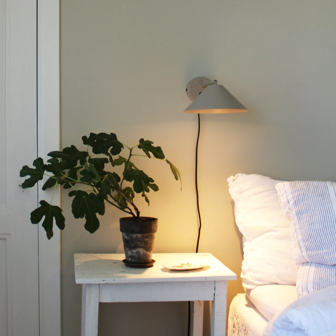 A potted fig plant on a white bedside table next to a bed with white bedding, illuminated by a warm wall lamp.