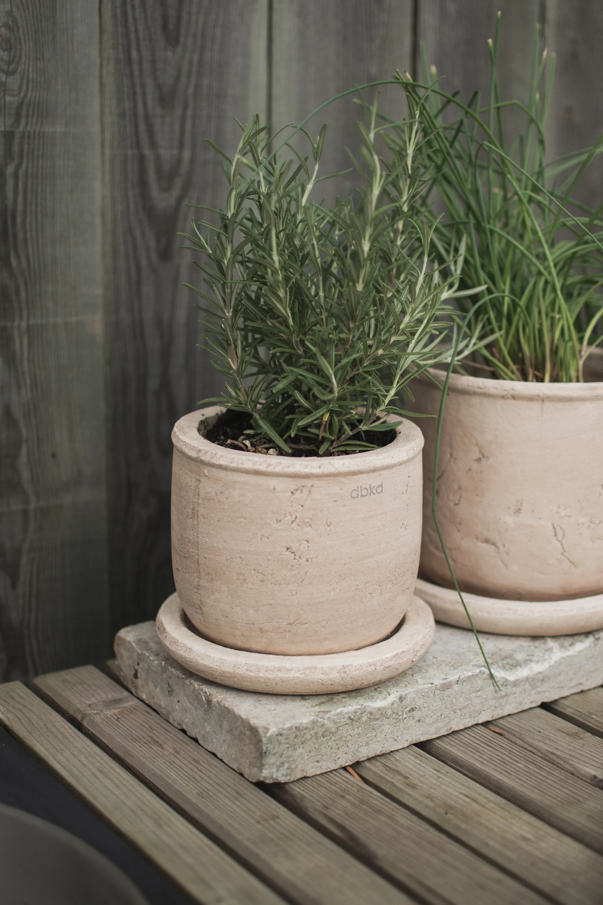 Rosemary and chives plants in textured light brown terracotta pots on a gray stone slab and wooden table.