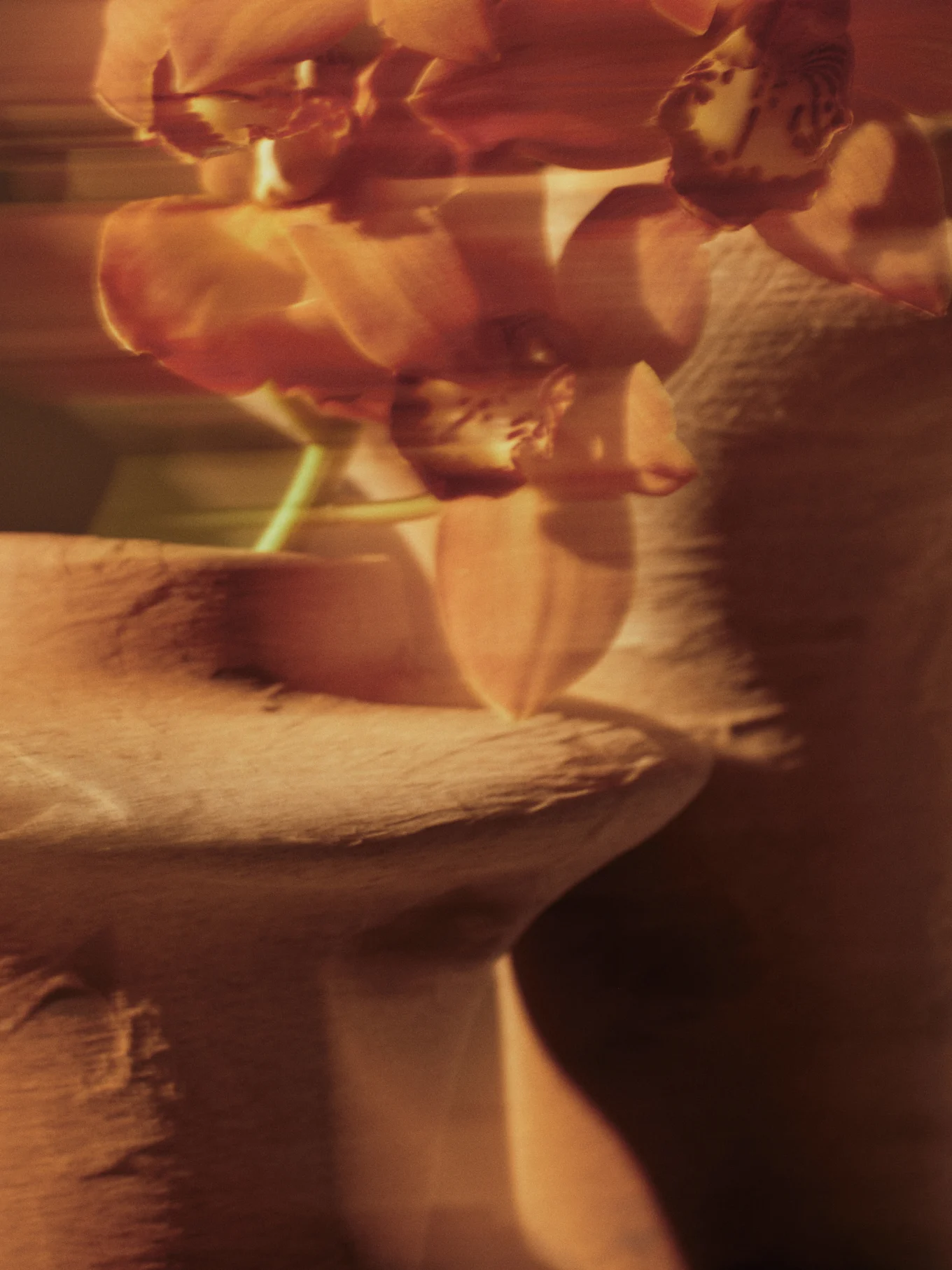 Blurred image of orange-red orchids with soft focus against a textured background.