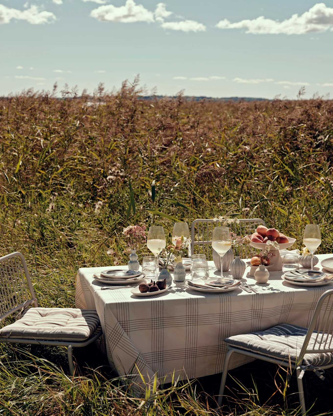 Outdoor dining table set with white chairs, plaid tablecloth, plates, glasses, peaches, and figs, in a sunny field of tall grass.