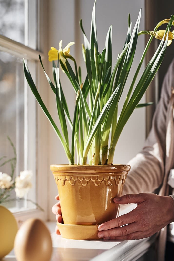Yellow plant pot from Bergs Potter with daffodils in it is not such a traditional Easter decoration but it is stylish and brings joy all year round. 