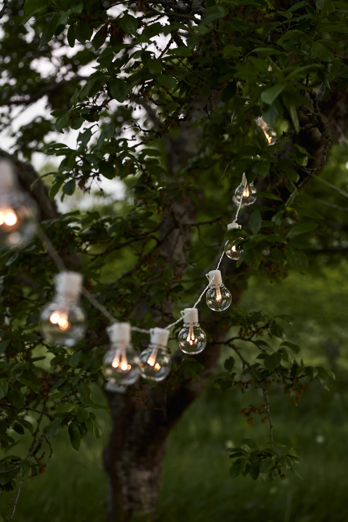 The Partaj white fairy lights from Star Trading were hung between trees to create a cosy light.