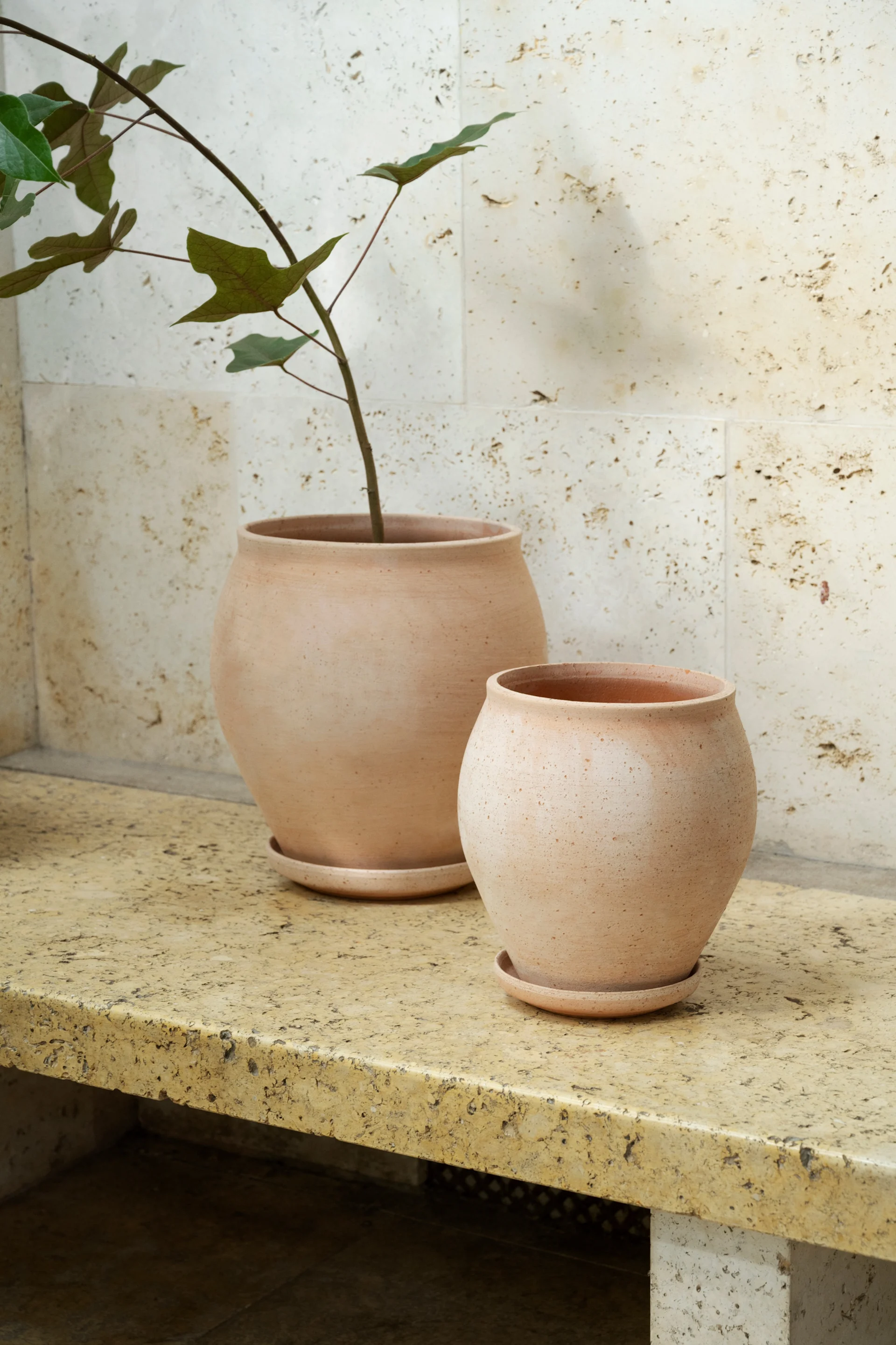 Two unglazed terracotta pots, one larger with a green-leafed plant and one smaller, sit on a textured stone surface against a textured wall.