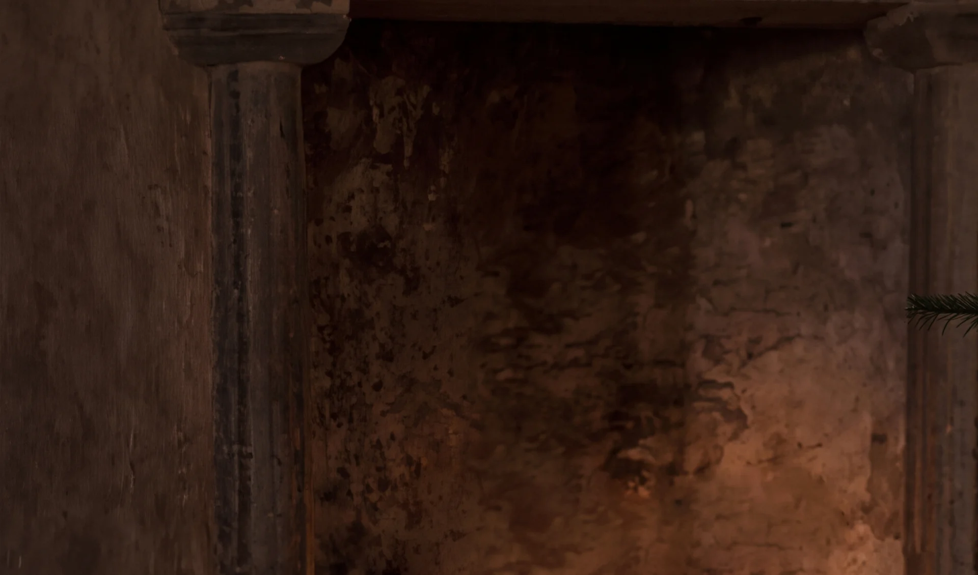 Dark, textured wall with stone columns and a hint of green foliage.