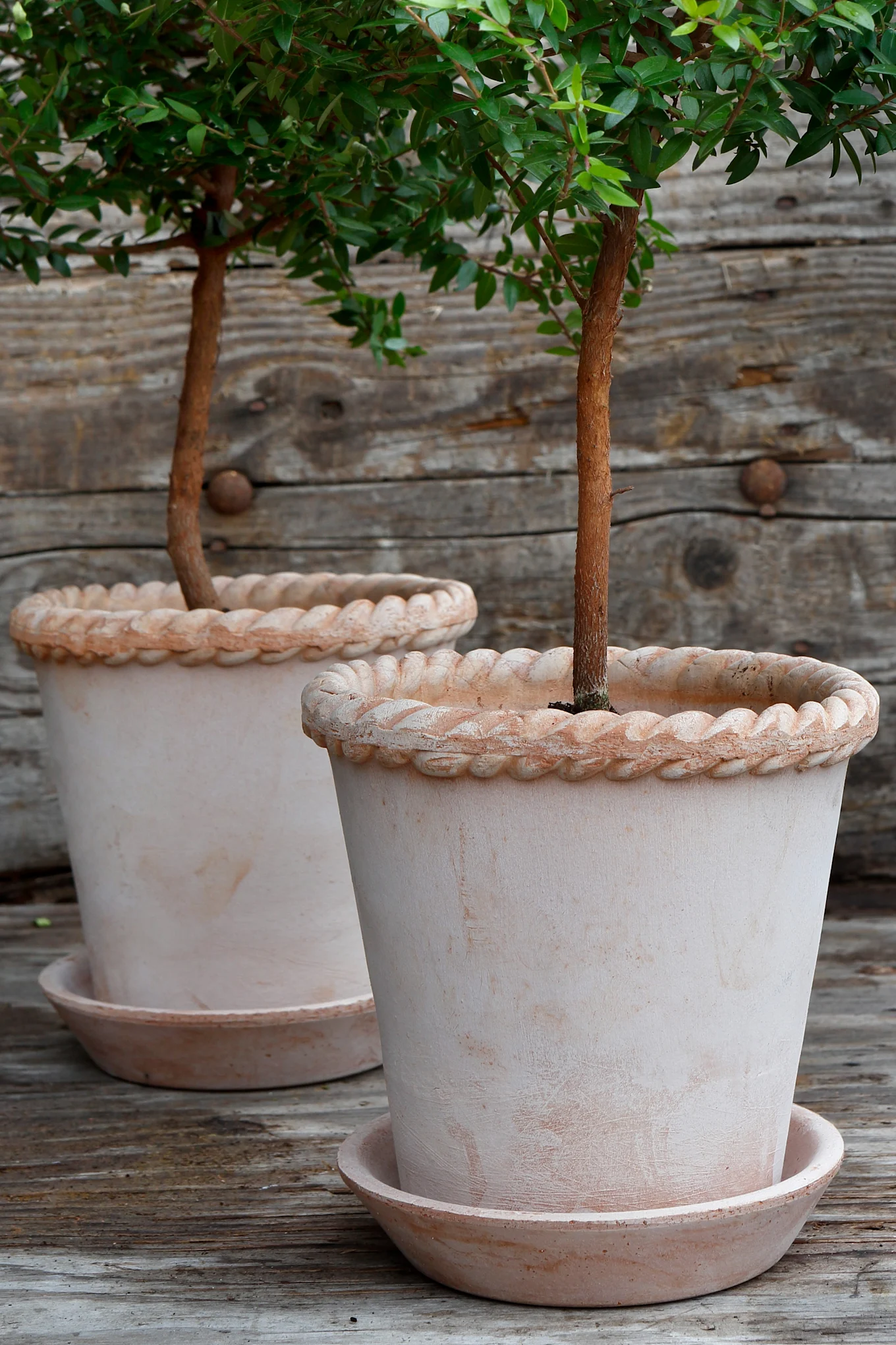 Outdoor Plant Pots