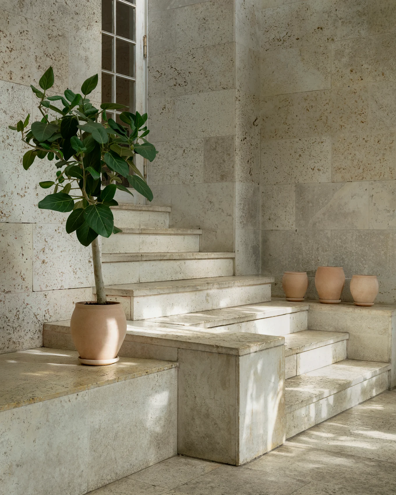 Stone staircase with a potted plant in a terracotta pot and three smaller terracotta pots on a step, all bathed in sunlight.