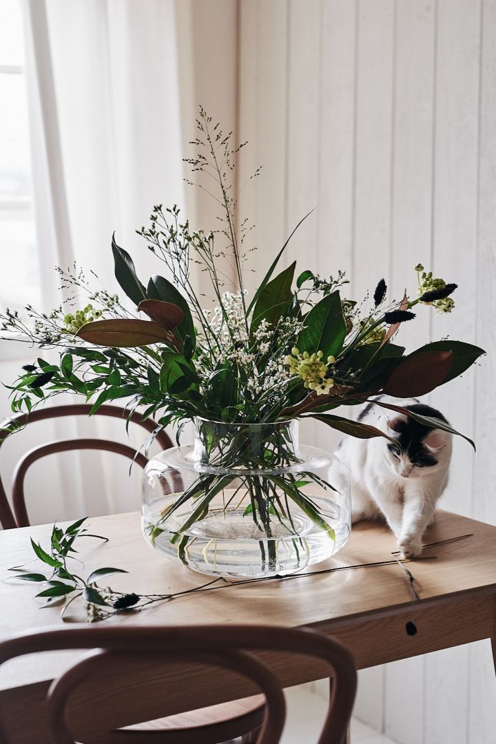 A cat plays with a loose flower on a dining table with a bouquet of fresh flowers in the clear Urna vase from Marimekko. 