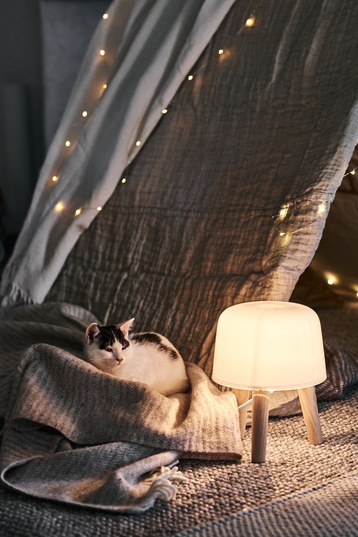 Scandinavian lifestyle things to try this winter - a kitten cuddles up next to the Milk floor lamp from &Tradition 